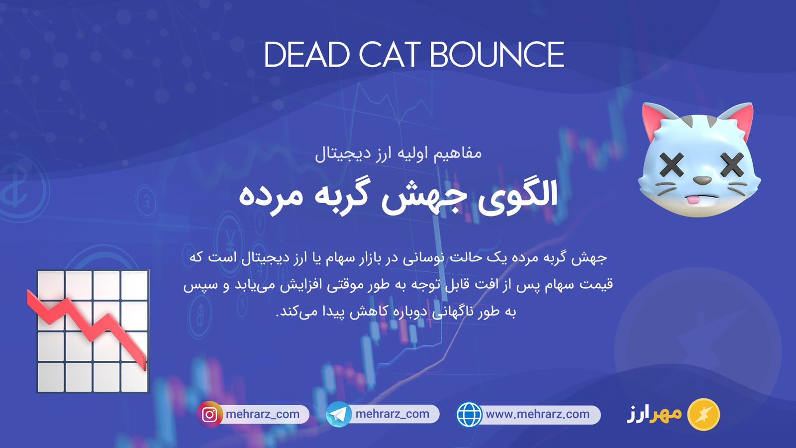 جهش گربه مرده در ارز دیجیتال چیست Dead cat bounce