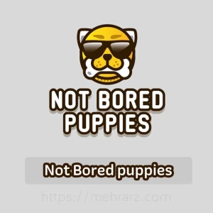 ایردراپ تاپ کوین {نات بورد پاپیز} Not Bored Puppies