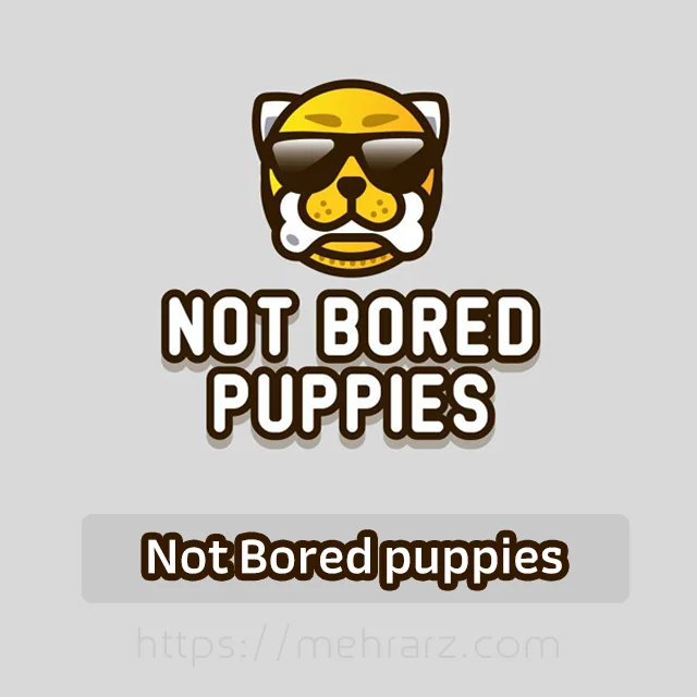 ایردراپتاپ کوین {نات بورد پاپیز} Not Bored Puppies